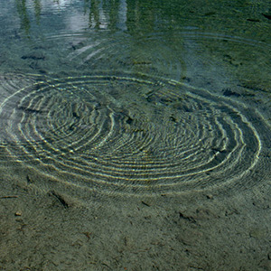 concentric ripples interfering
