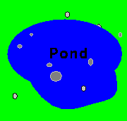 an image of a pond